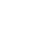 True Software logo